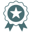 Award badge icon