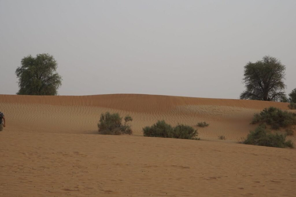 Desert land plot in Dubai